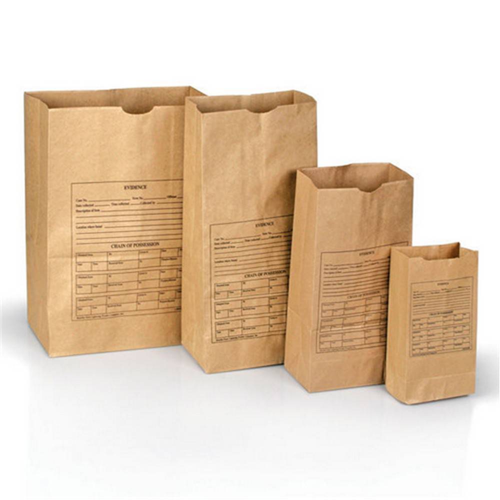 Forensics Source Paper Bags, Style 86  (100)