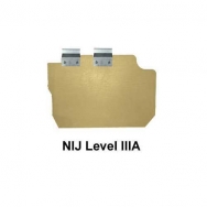 LVL IIIA BAL DOOR PANEL DRIVER SIDE